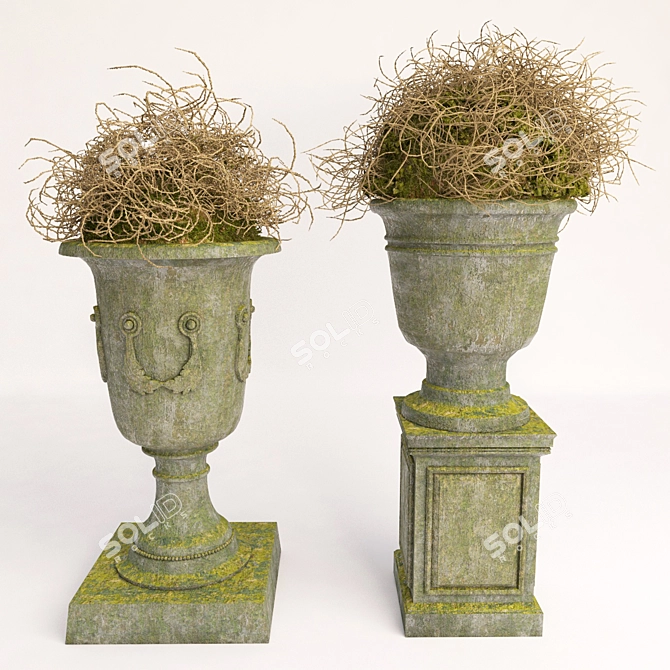 Elegant Vase Duo Set 3D model image 1