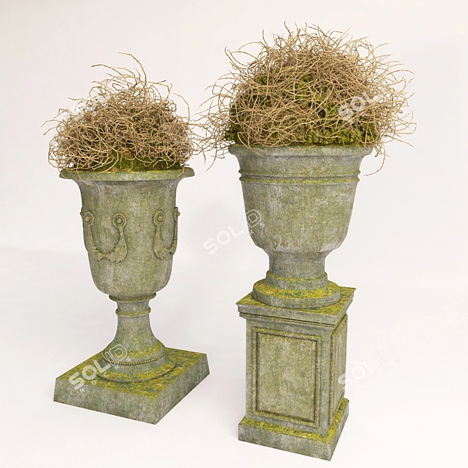 Elegant Vase Duo Set 3D model image 2