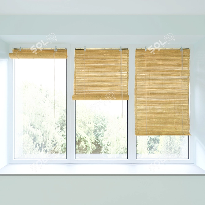 Natural Bamboo Roll Blind & Plastic Window: Elegant Window Covering 3D model image 1