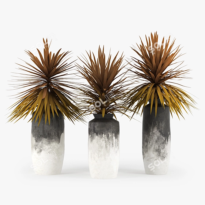 Tropical Paradise Dracaena Palm 3D model image 1