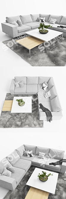 Modern Boconcept Indivi Sofa with Coffee Tables and Bonsai 3D model image 2