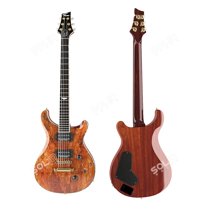 Iconic Tone: Fame Custom Guitar 3D model image 1