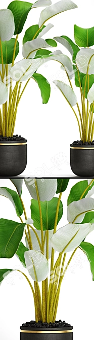 Botanical Pot Collection 3D model image 2