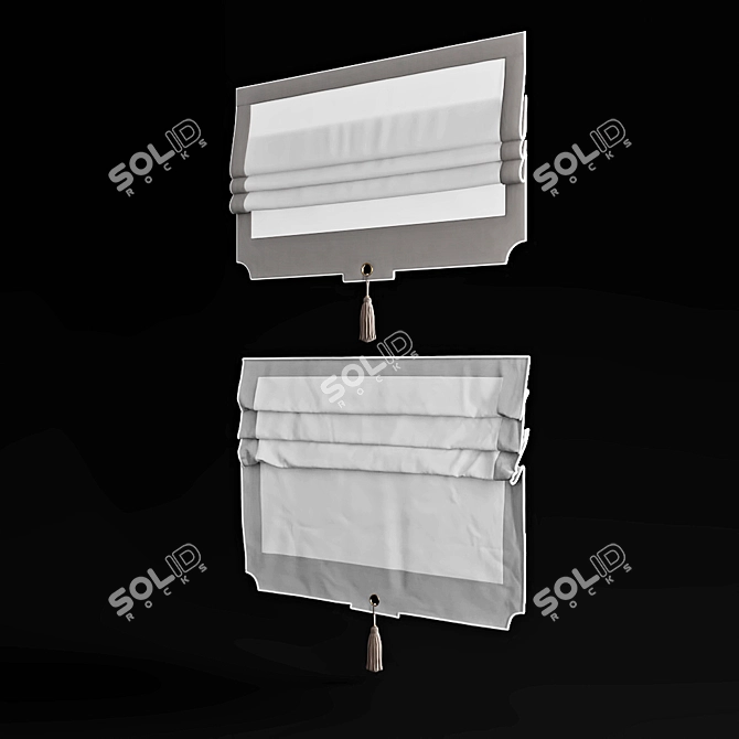 Elegant Roman Curtains 3D model image 2