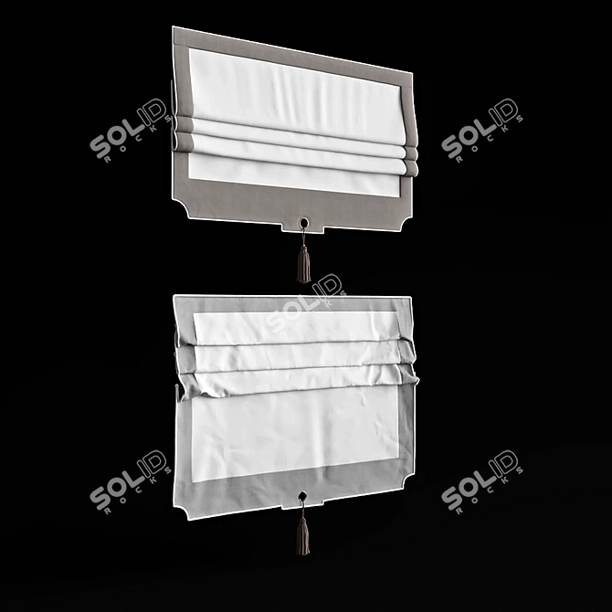 Elegant Roman Curtains 3D model image 3