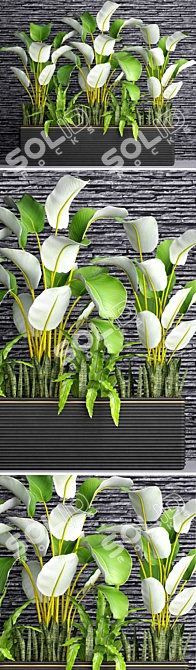 Plant Pot Collection with Slate Stone Wall 3D model image 2