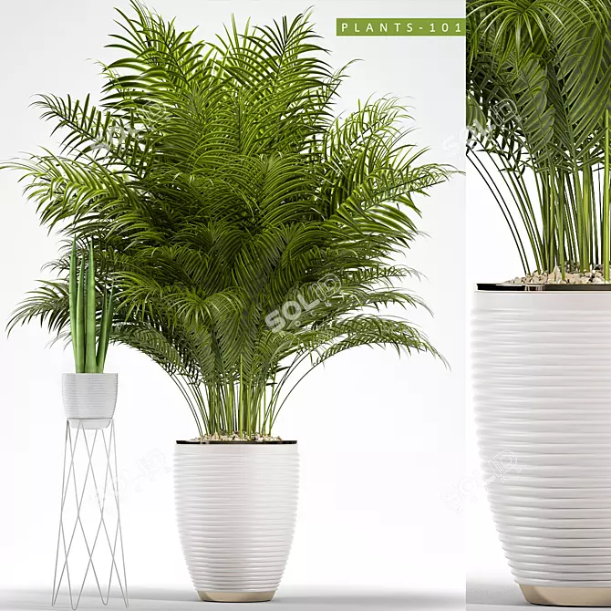 Plant 101: MAX2012,2015 & Obj 3D model image 1