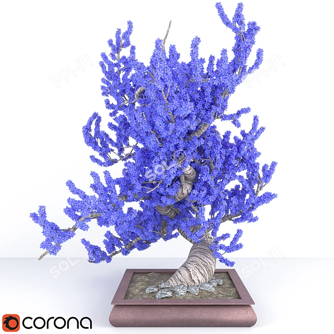 Tricolor Flower Bonsai Pot 3D model image 1