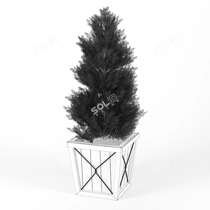 Realistic Thuja Tree 3D Model 3D model image 2