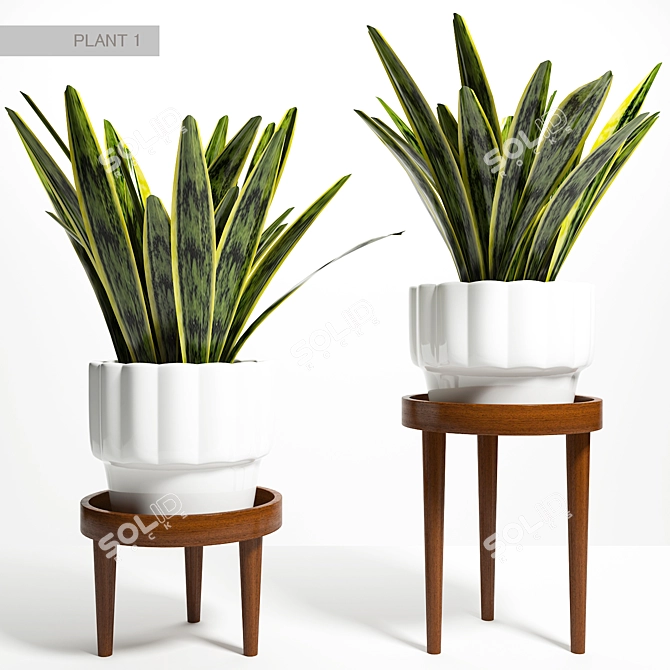 Elegant Plant Stand Holder 3D model image 1