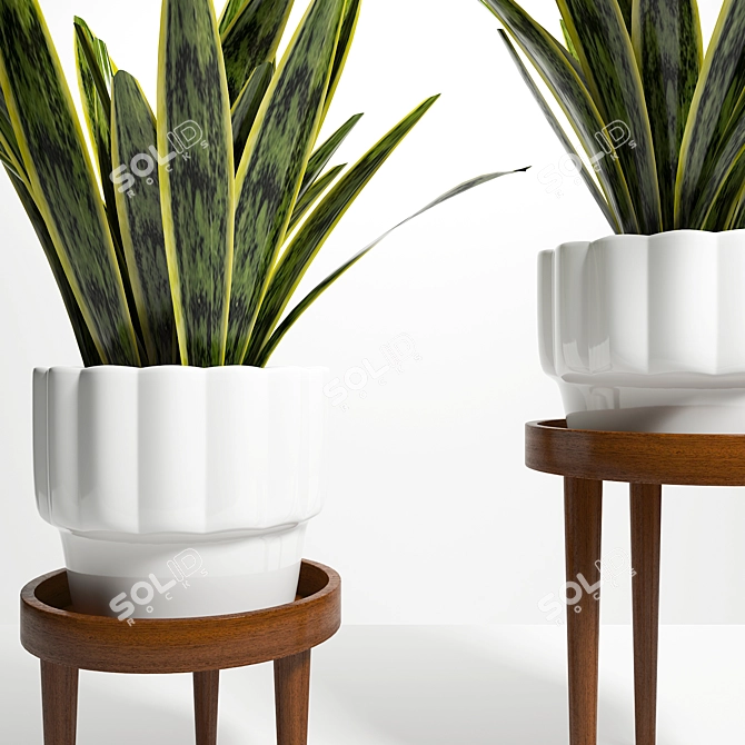 Elegant Plant Stand Holder 3D model image 2