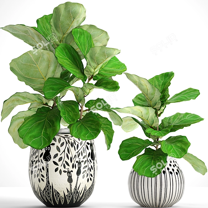 Lyrical Ficus: Majestic Greenery 3D model image 1