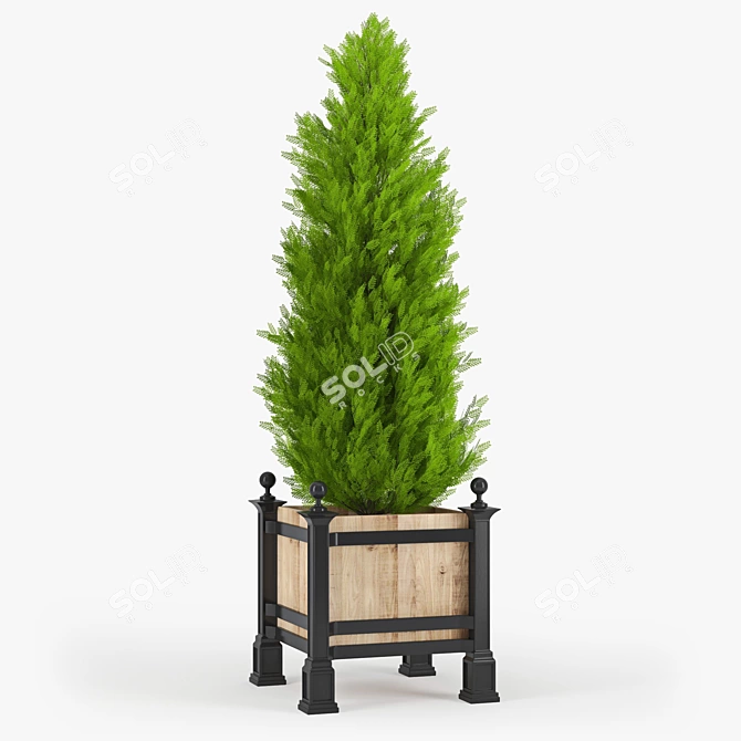 Thuja 3D Model with Textures 3D model image 1
