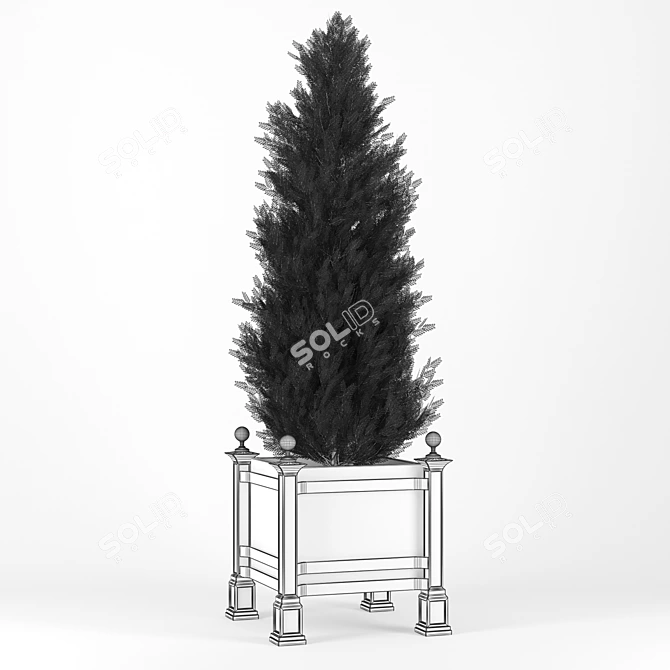 Thuja 3D Model with Textures 3D model image 2