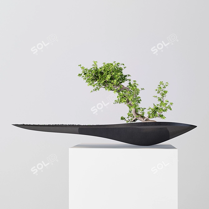 Sculptural Speed: Kasokudo Bonsai 3D model image 1