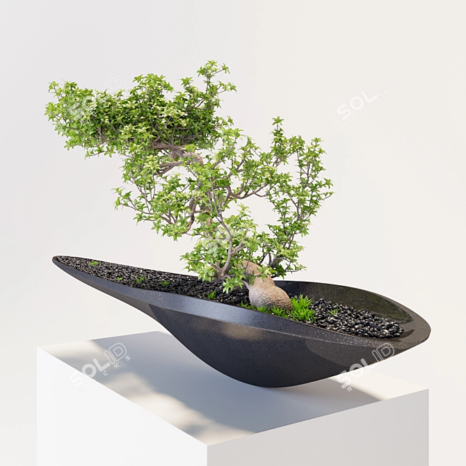 Sculptural Speed: Kasokudo Bonsai 3D model image 2