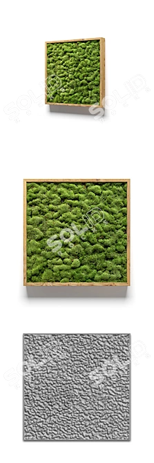 Natural Moss Wall Art 3D model image 2