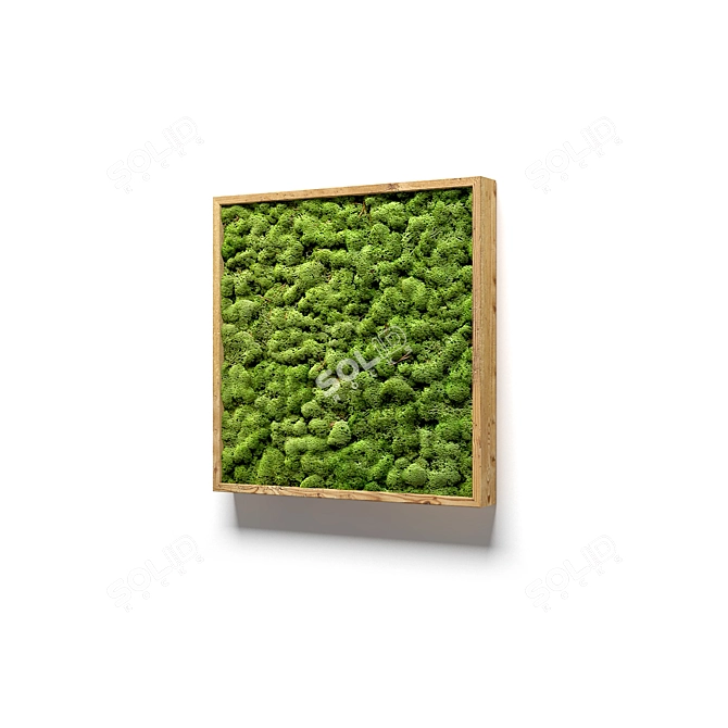 Natural Moss Wall Art 3D model image 4