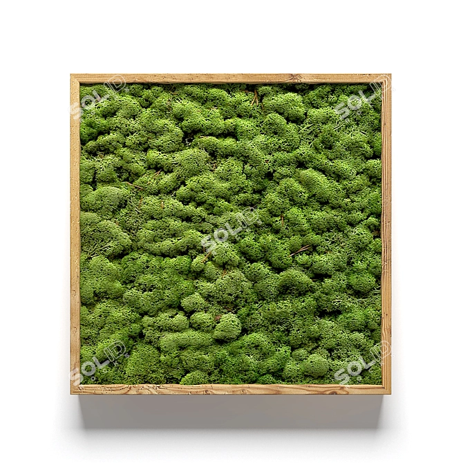 Natural Moss Wall Art 3D model image 5