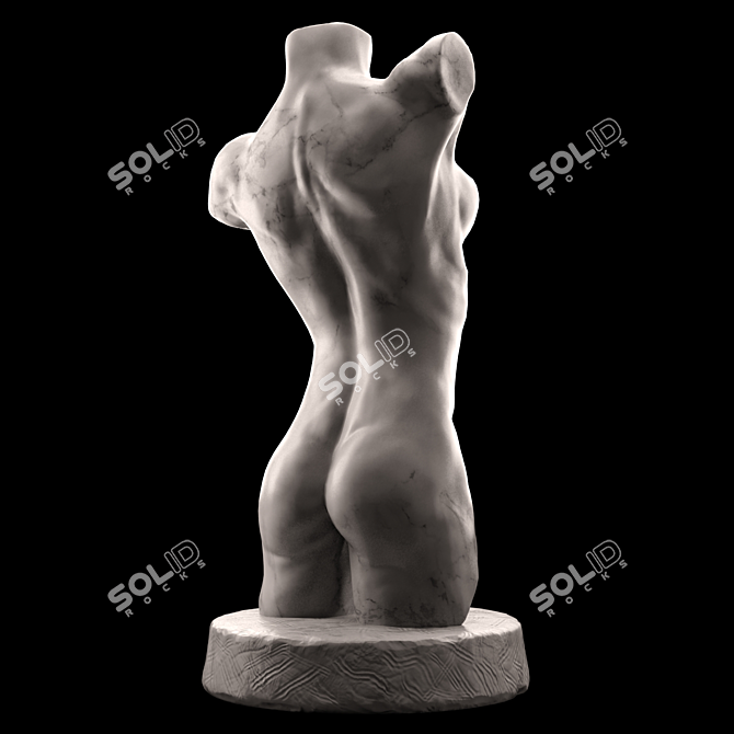 Title: Sculpted Female Torso 3D model image 2
