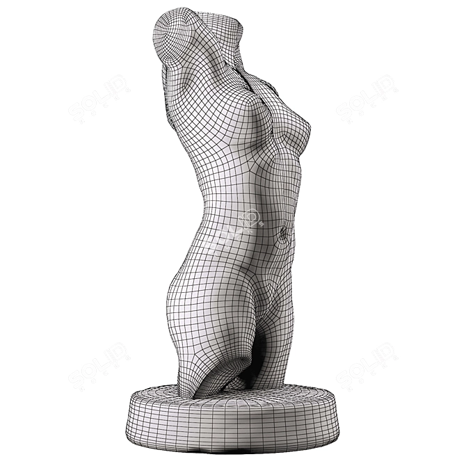 Title: Sculpted Female Torso 3D model image 3