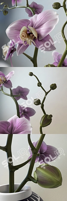 Pieter Wagemans Art Print 3D model image 2