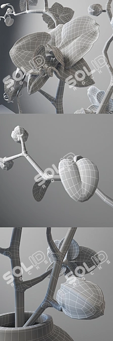 Pieter Wagemans Art Print 3D model image 3