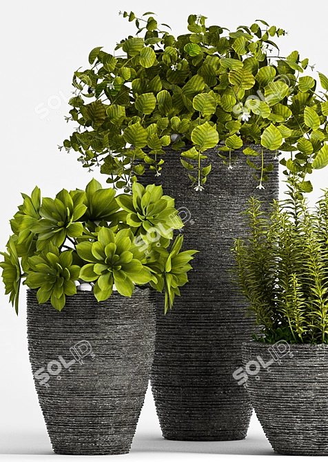 Greenery in Bloom - Set of 3 3D model image 2