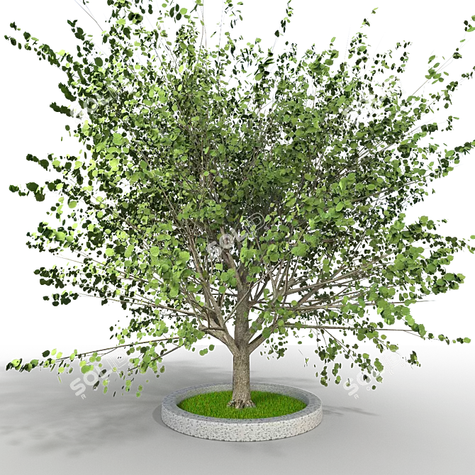 Elegant Tree Model 3D model image 1