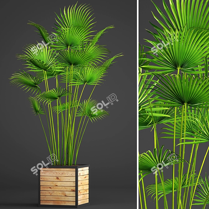 Tropical Palm Paradise 3D model image 1