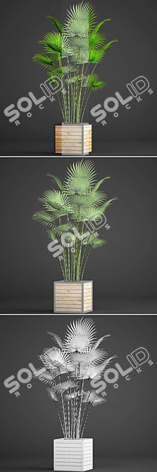 Tropical Palm Paradise 3D model image 3