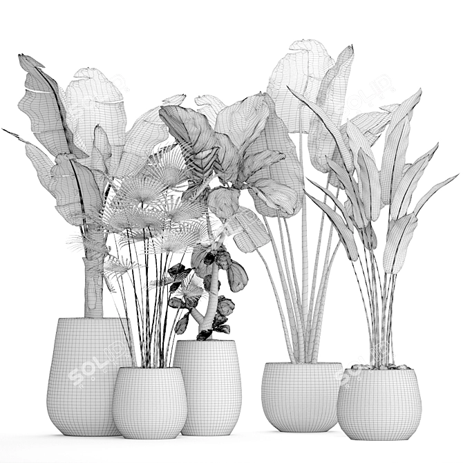 Potted Plant Collection 41 3D model image 3
