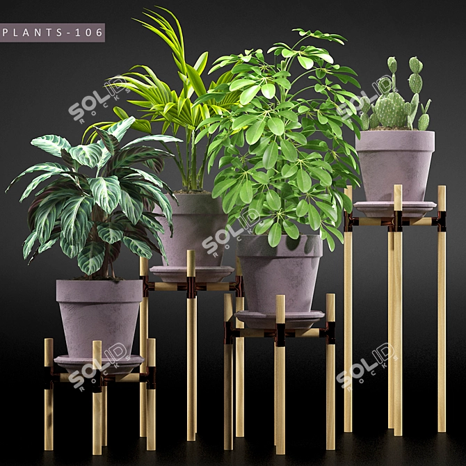 Leafy Greens Collection | 3D Plant Models 3D model image 1