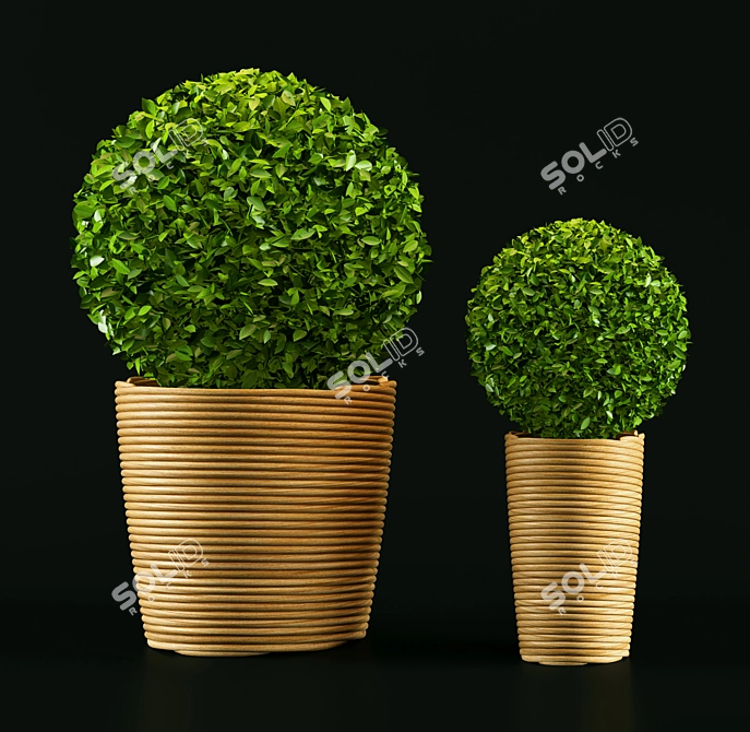 Sleek Greenery: Modern Plant 3D model image 1