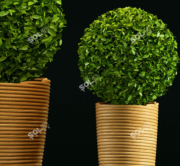 Sleek Greenery: Modern Plant 3D model image 2