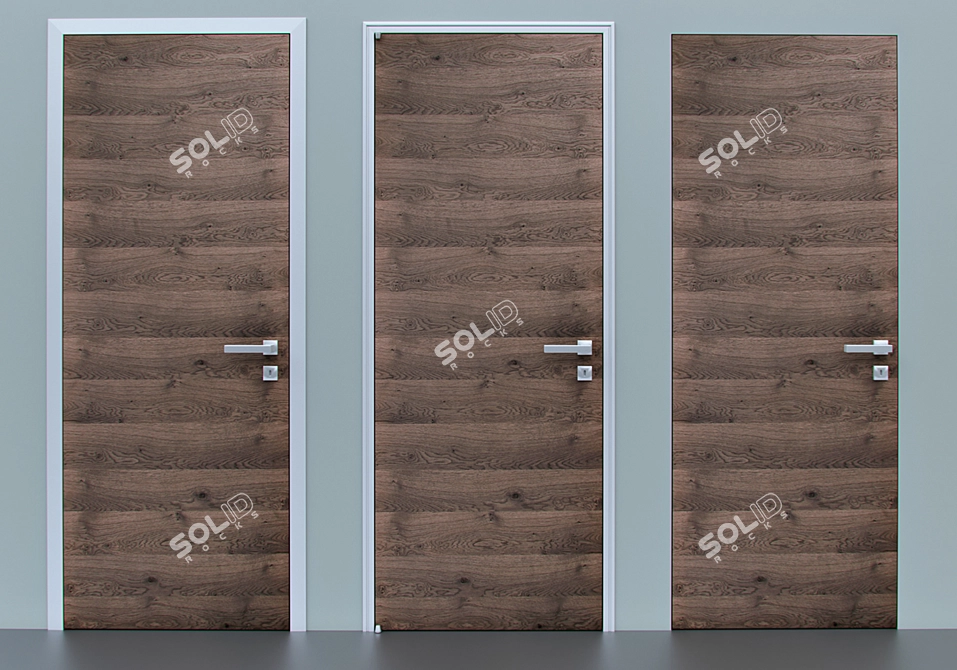 Barausse Cenere: Elegant Gray Oak Doors 3D model image 2