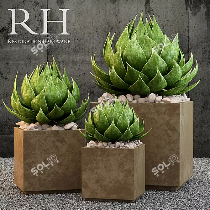 Elegant Restoration Hardware Planter 3D model image 1