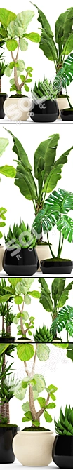 Green Oasis: 45 Potted Plants 3D model image 2