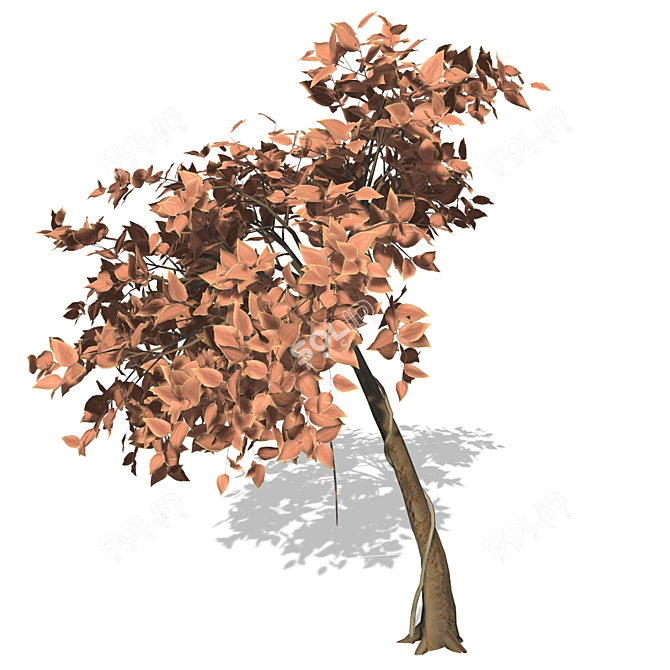 High-Quality 3D Tree Model 3D model image 1