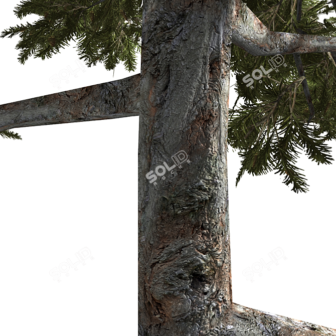 High-Quality 3D Tree Model 3D model image 3