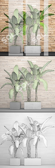 Green Oasis: Botanical Pot Collection 3D model image 3