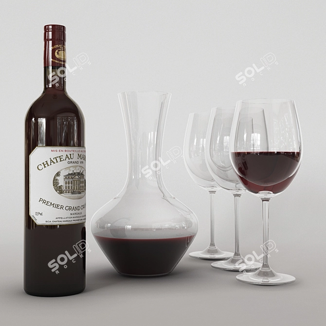 Elegant Wine Decanter Set 3D model image 1