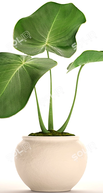 Tropical Bliss: Potted Exotic Plant 3D model image 2