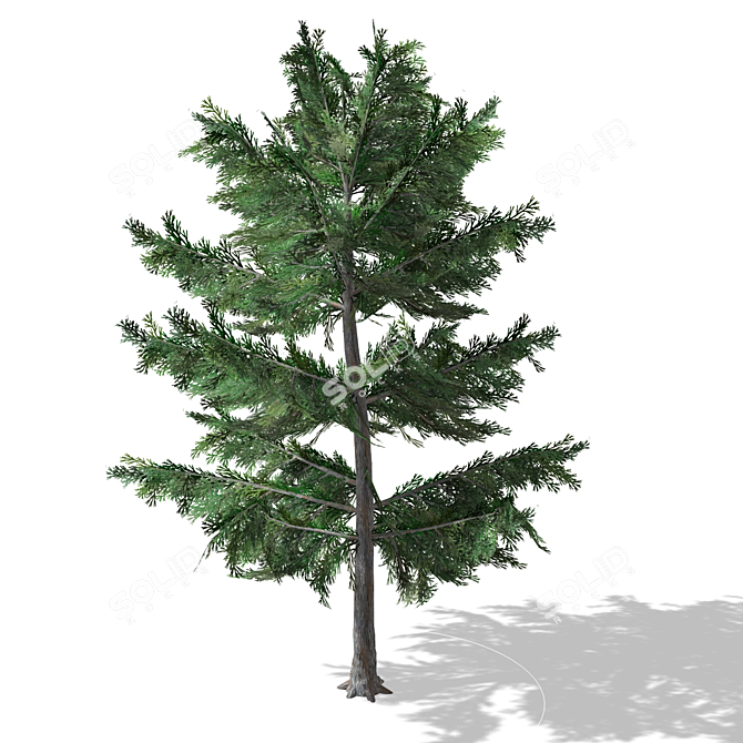 Realistic Tree Model - 00012 3D model image 1