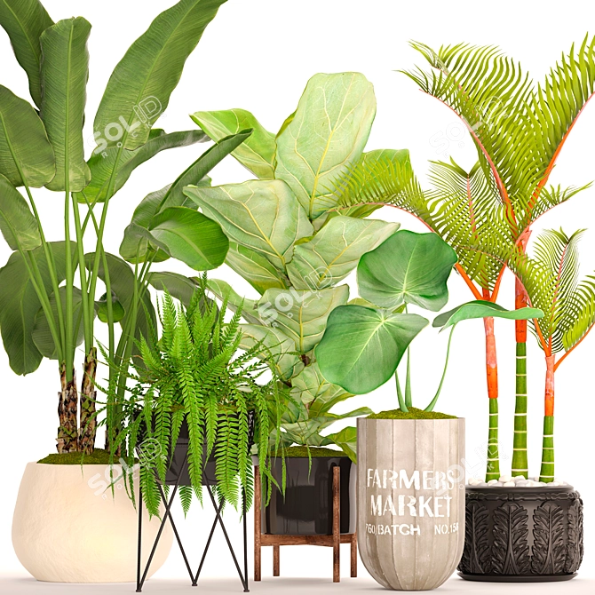 Tropical Plant Collection: 48 Potted Beauties 3D model image 1