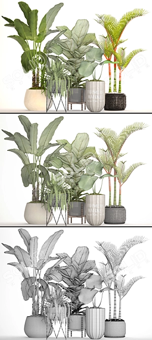 Tropical Plant Collection: 48 Potted Beauties 3D model image 3