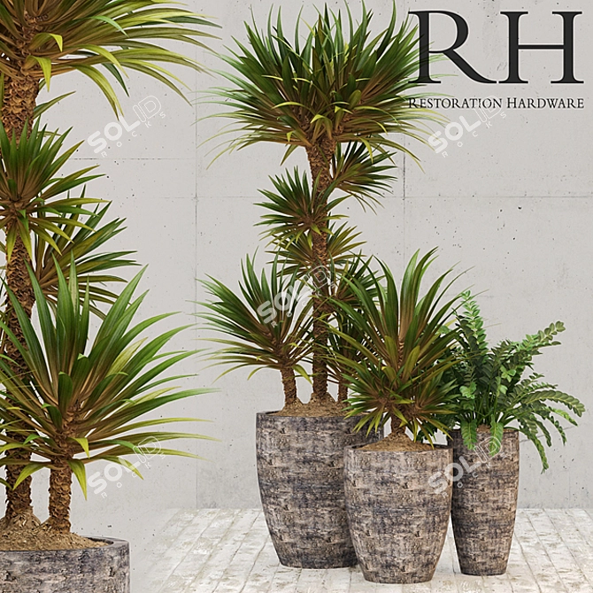 Elevate Your Space: Restoration Hardware Corso Planter 3D model image 1