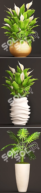 Indoor Greenery Collection: Philodendron & Spatiphillum 3D model image 2