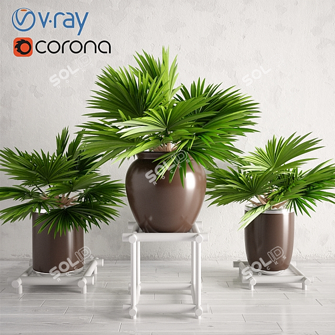 Tropical Oasis: Trio of Potted Palms 3D model image 1