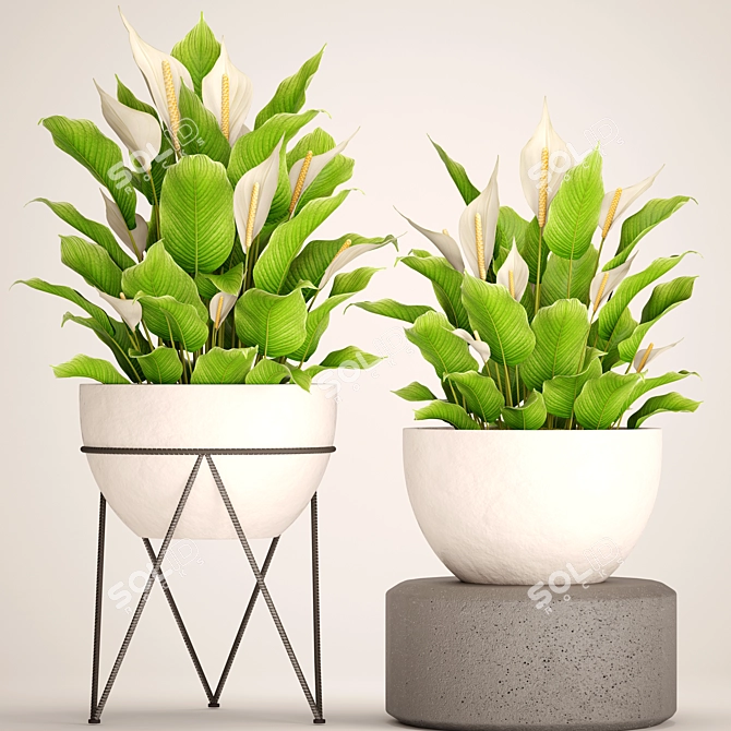 Indoor Plants Collection: 52 Potted Beauties 3D model image 1